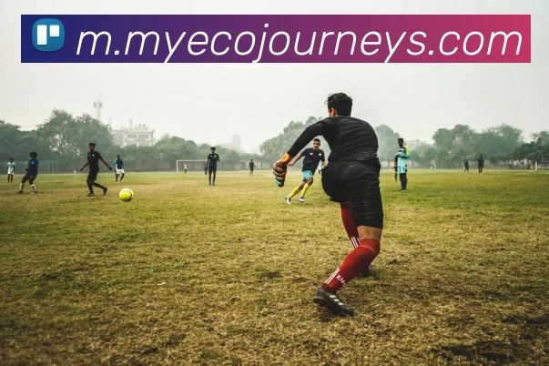 奖项证书